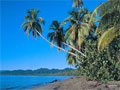 Cahuita National Park
