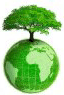 green tree