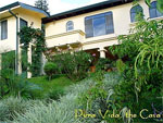 Pura Vida Hotel