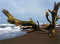Courtesy by www.flickr.com